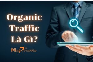 Organic Traffic Là Gì? Cách Tăng Organic Traffic Cho Website