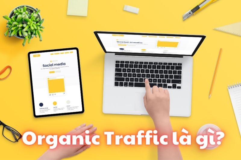 Organic Traffic là gì?